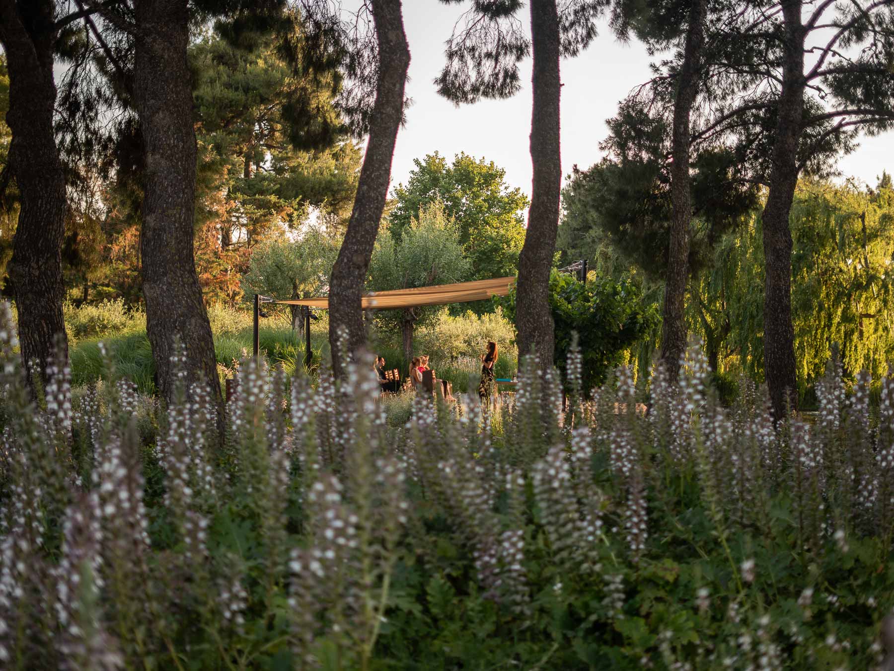 garden nature trees lake relaxation serenity | TATOÏ Club