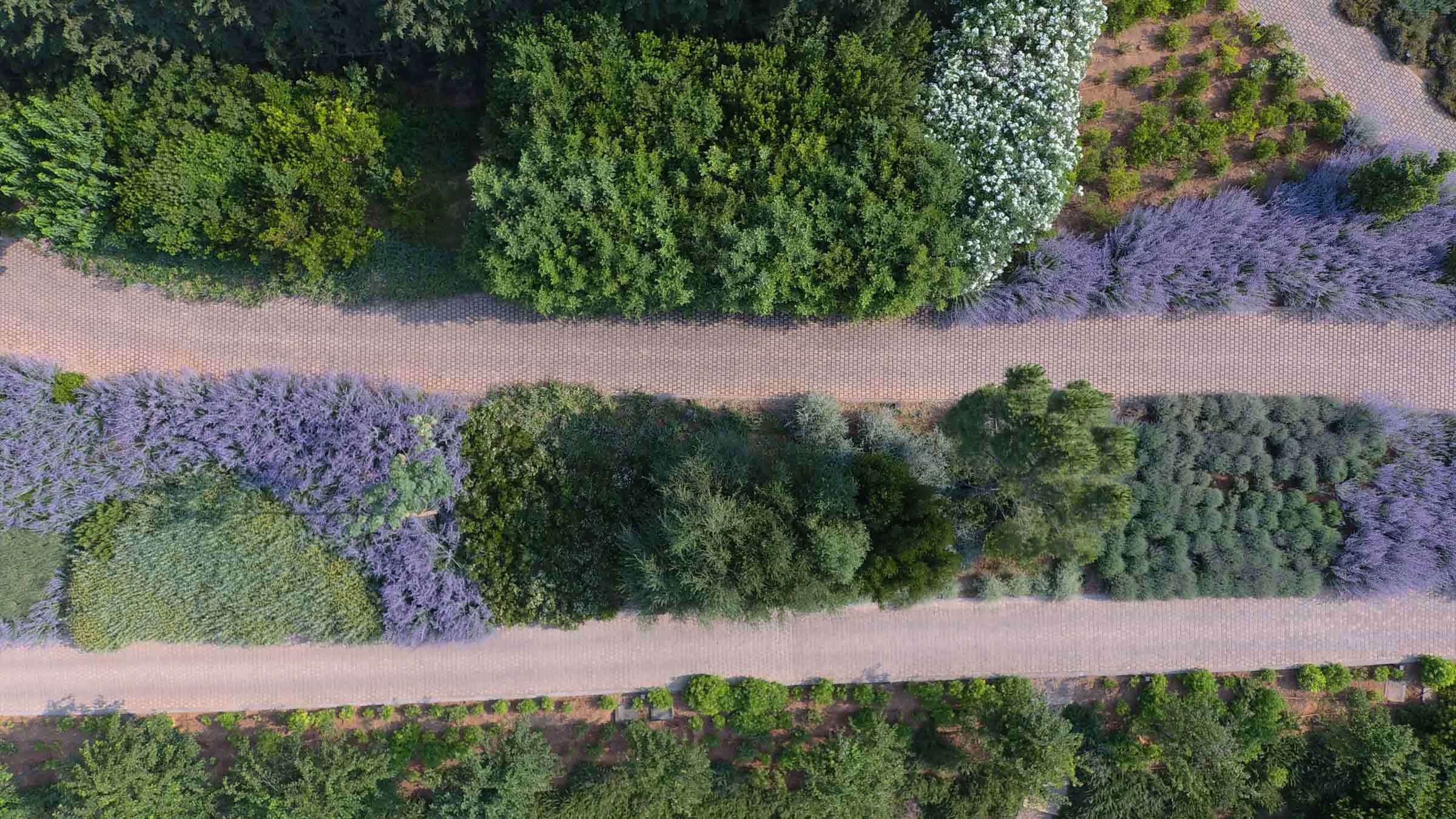 garden nature trees path relaxation serenity walks | TATOÏ Club