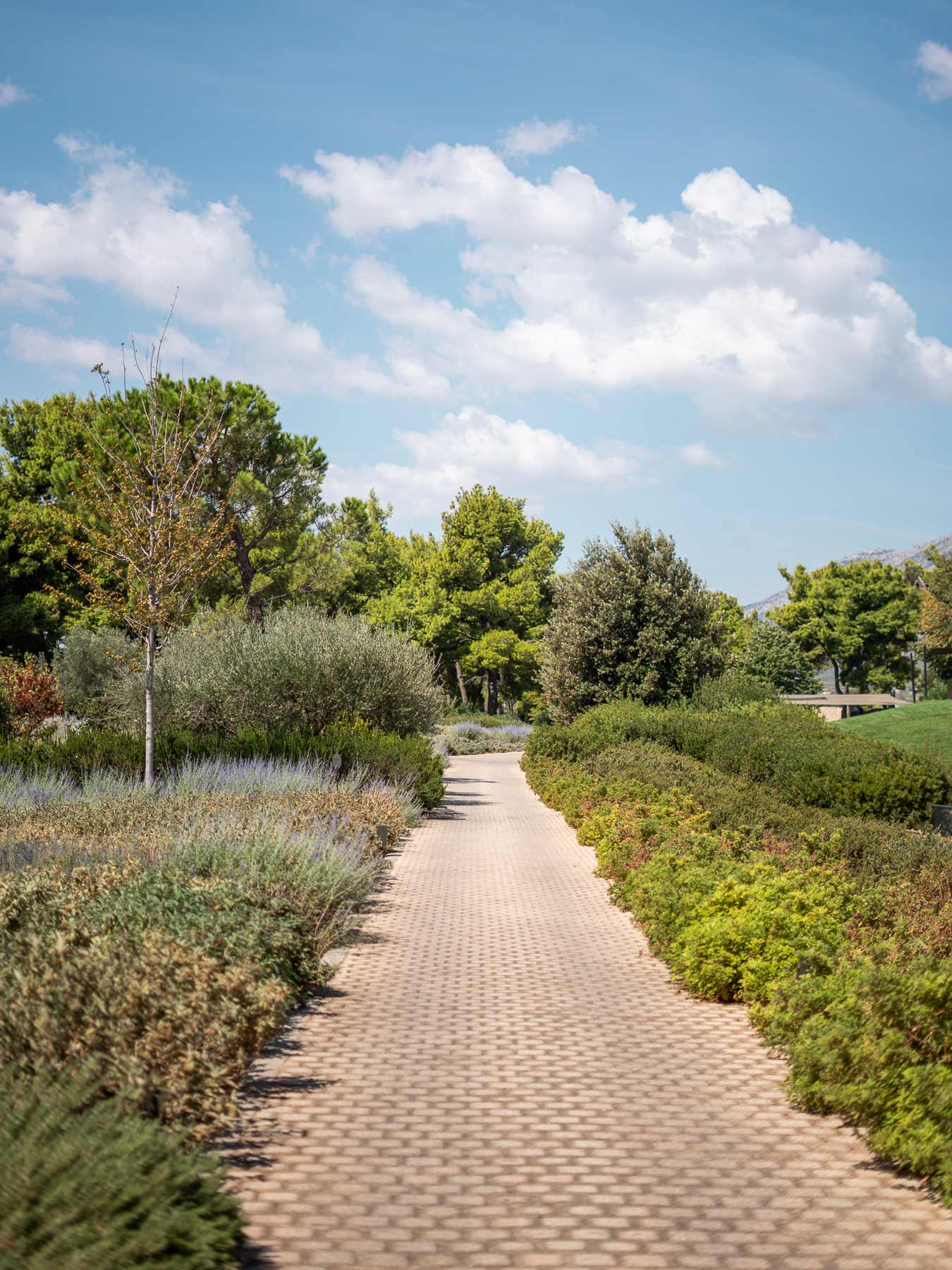 garden nature trees path relaxation serenity walks | TATOÏ Club