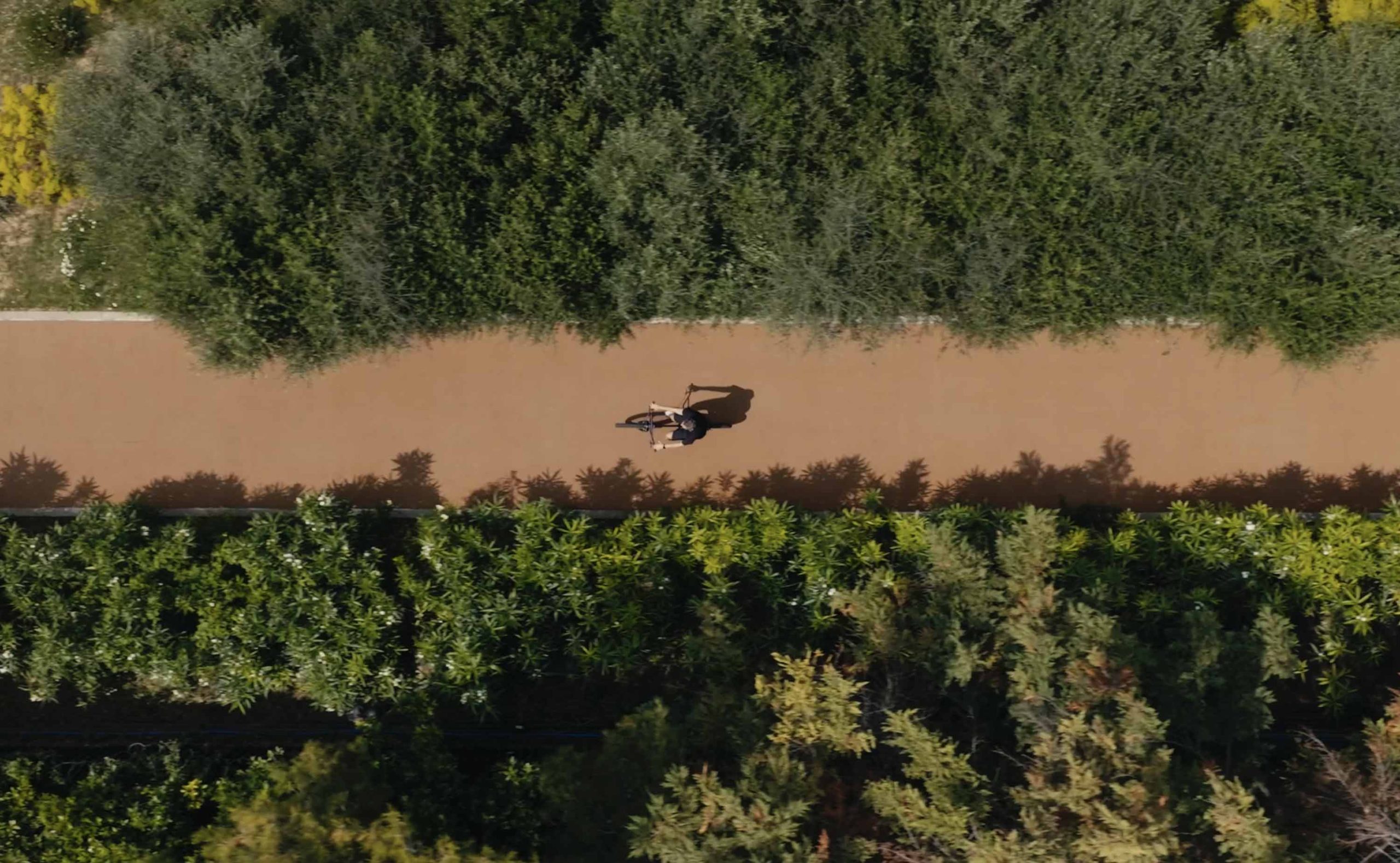 garden nature trees path relaxation serenity bikes | TATOÏ Club