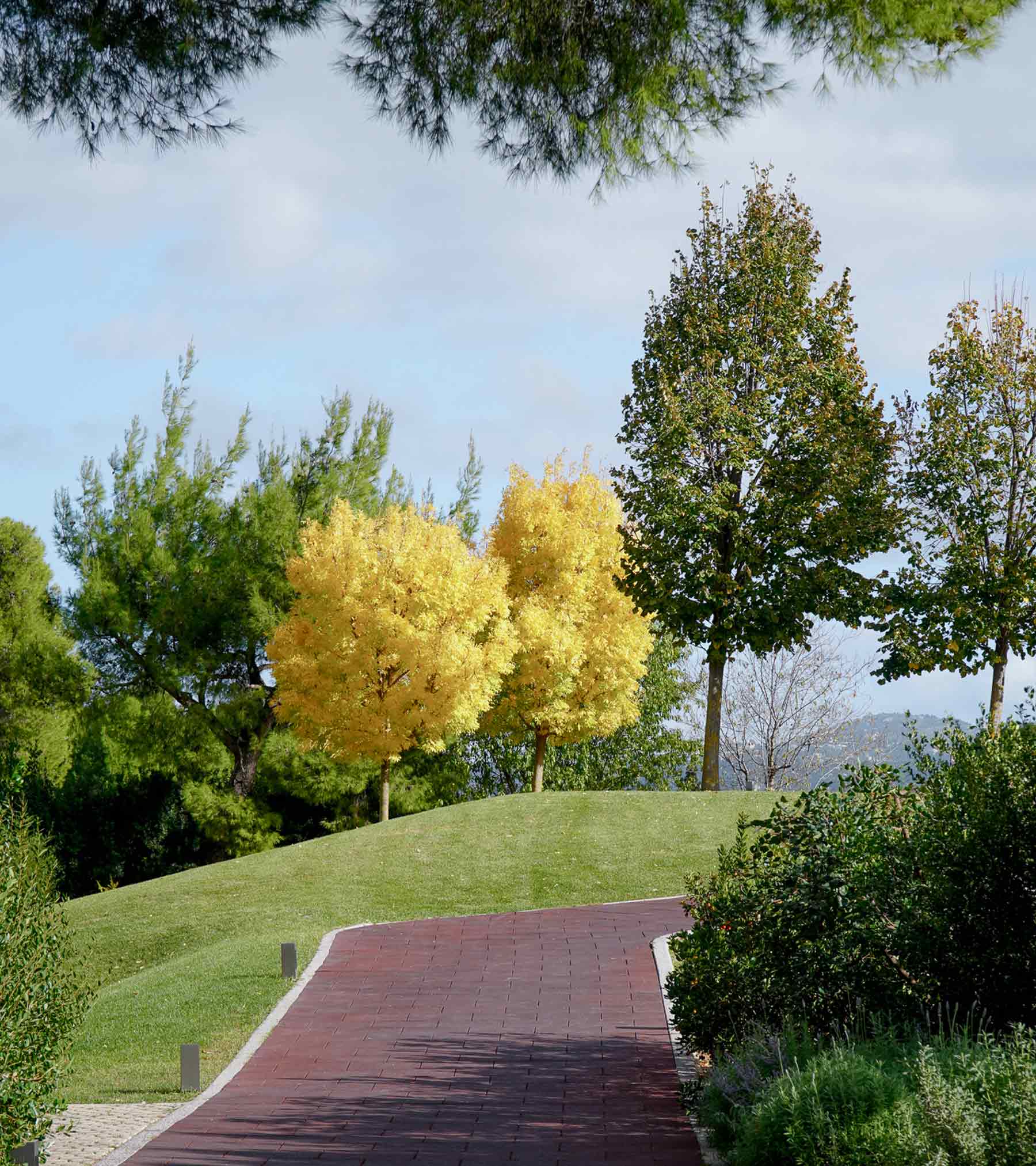 garden nature trees path relaxation serenity walks | TATOÏ Club