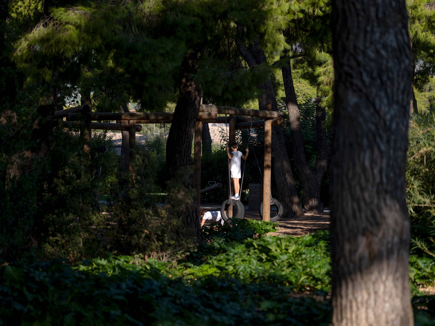 kids activities trees playground nature | TATOÏ Club
