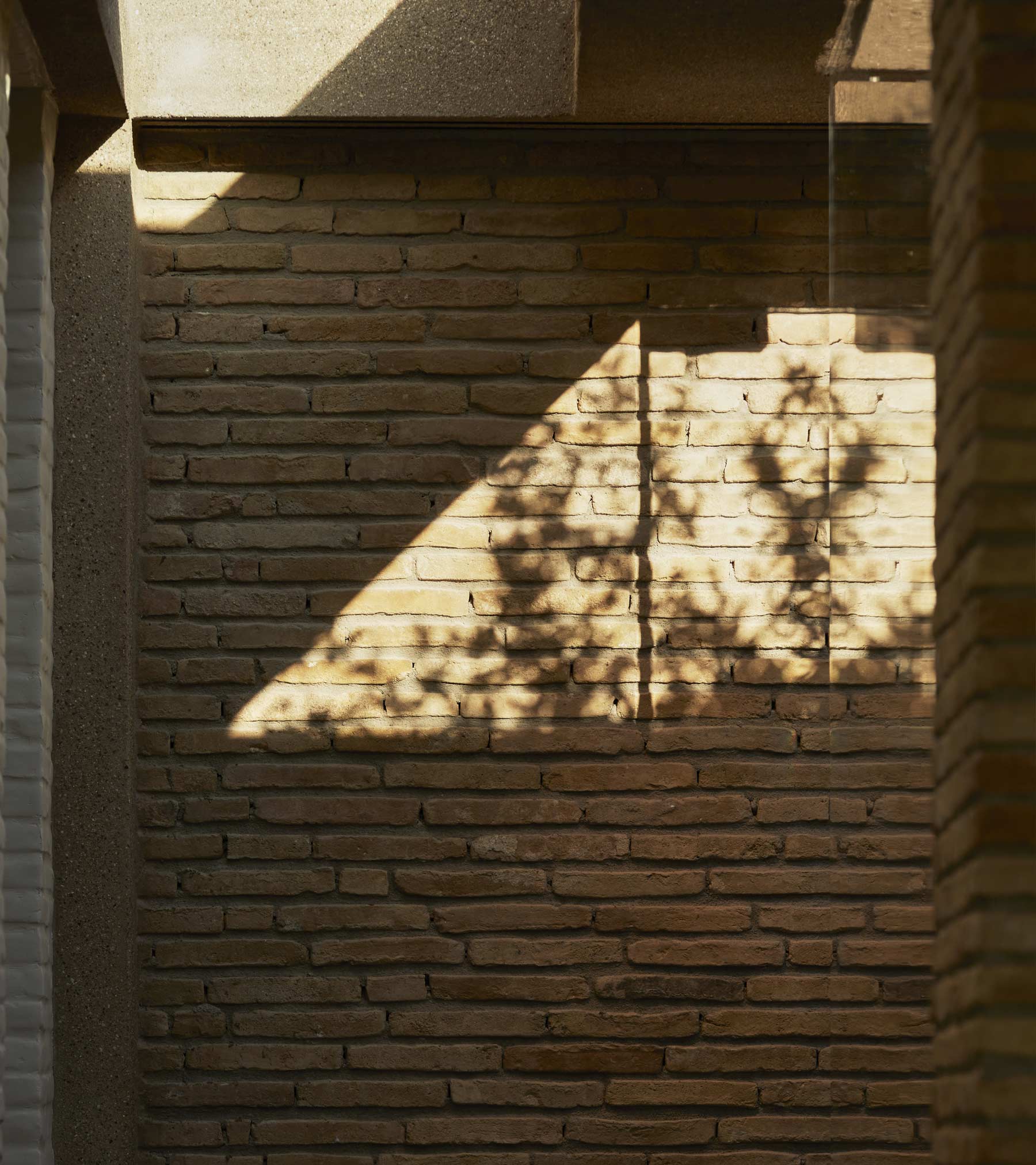 restaurant nature shadow light | TATOÏ Club