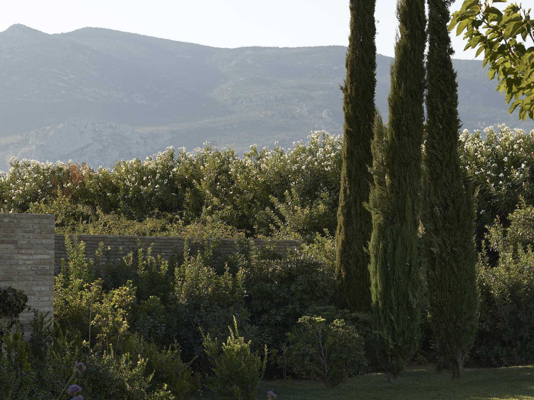 restaurant nature mountain trees | TATOÏ Club