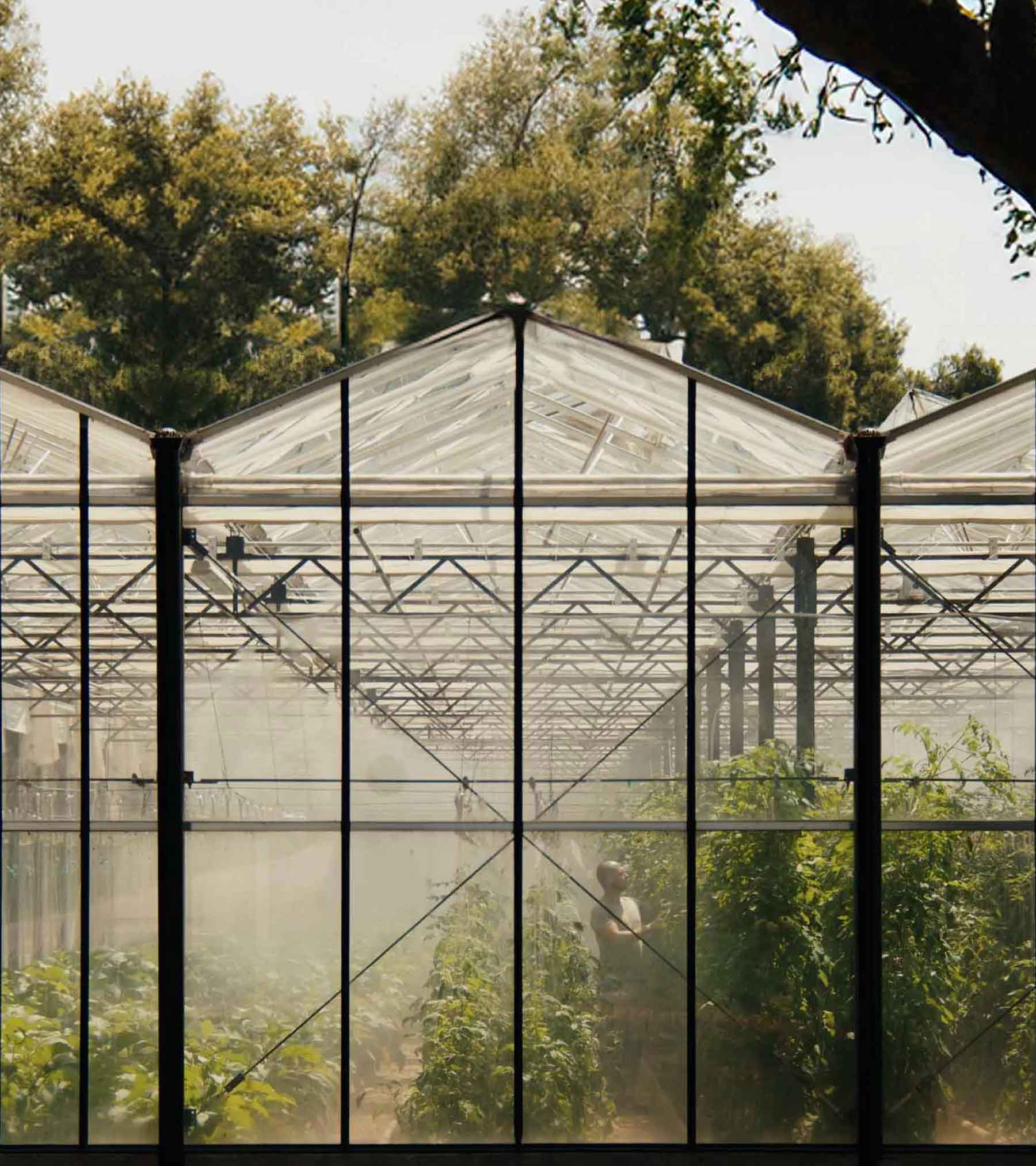 retreats programme nutrition veggie farm | TATOÏ Club