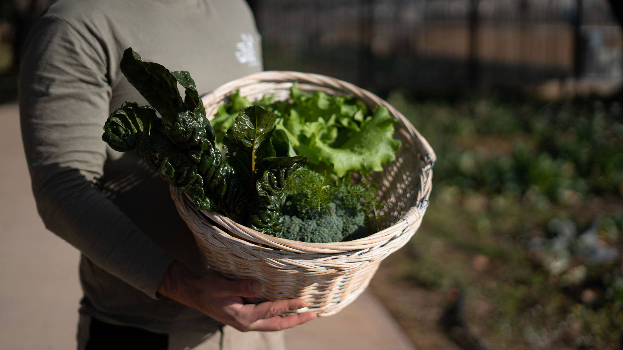 veggie farm trees vegetables nature | TATOÏ Club