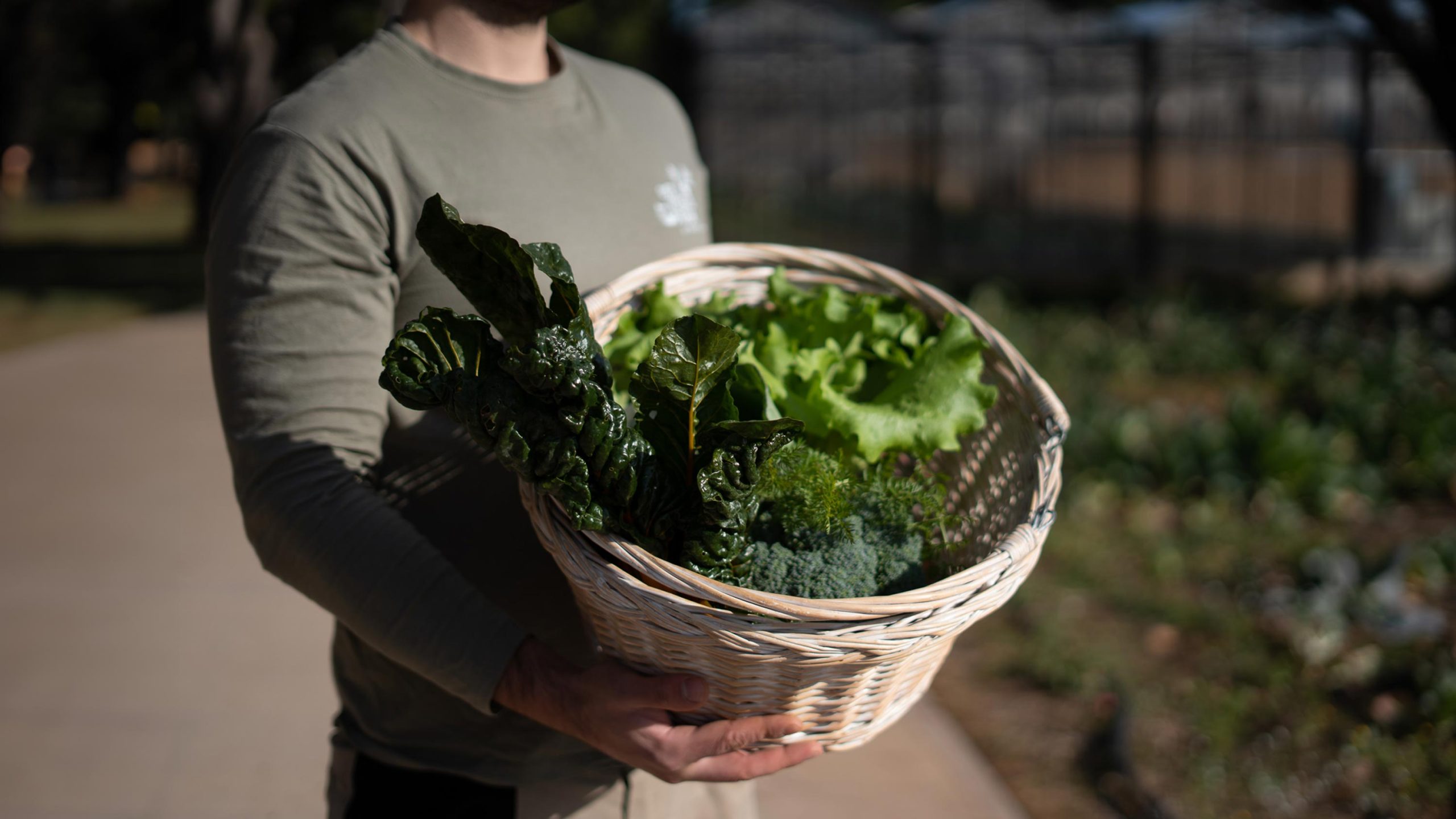 veggie farm trees vegetables nature nutrition | TATOÏ Club