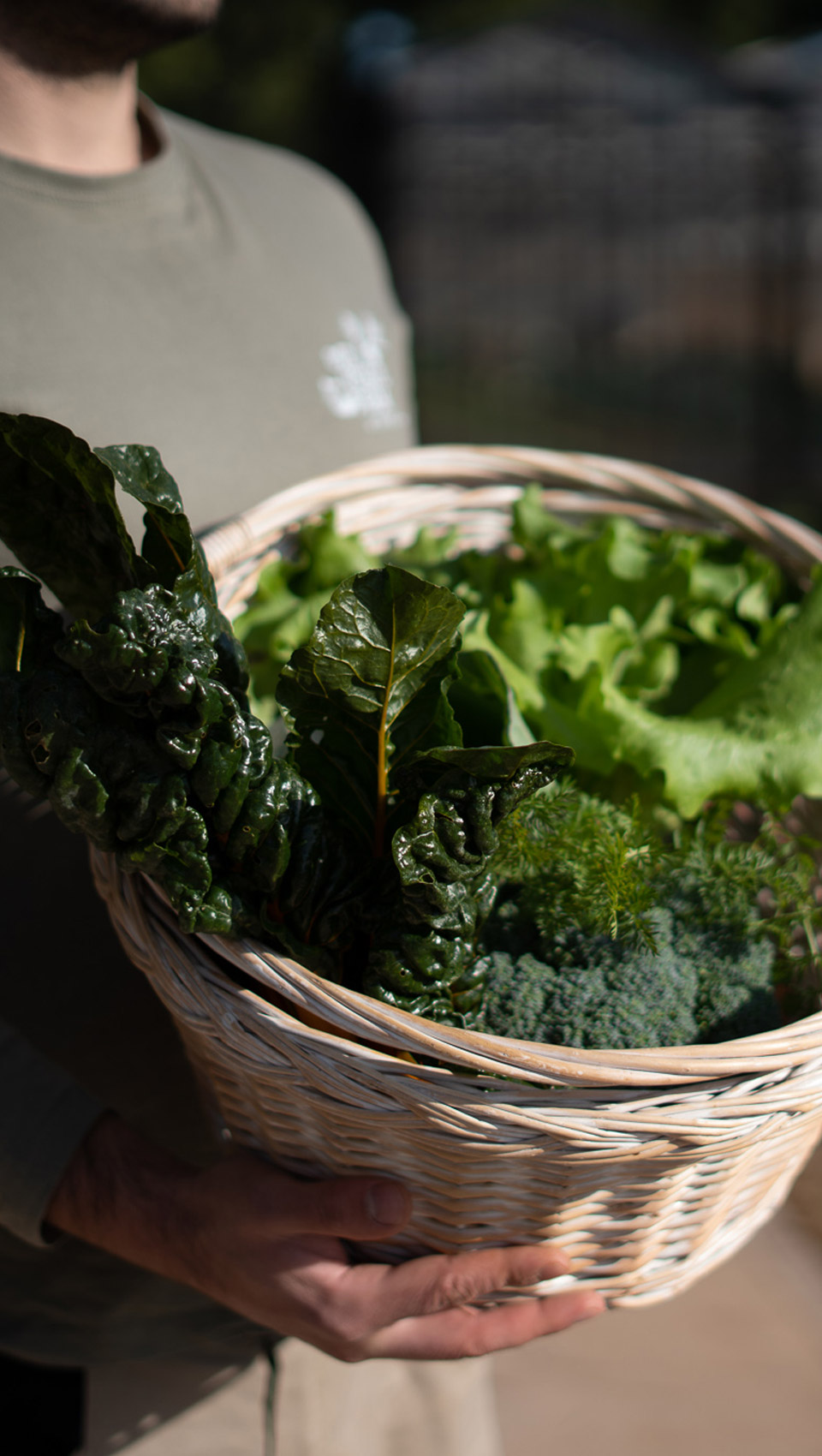 veggie farm trees vegetables nature nutrition | TATOÏ Club