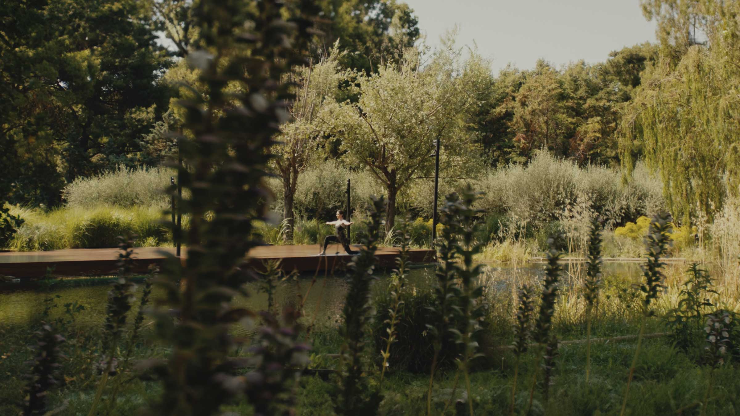 STRESS MANAGEMENT-MAIN-4-PILLARS-TATOÏ-CLUB