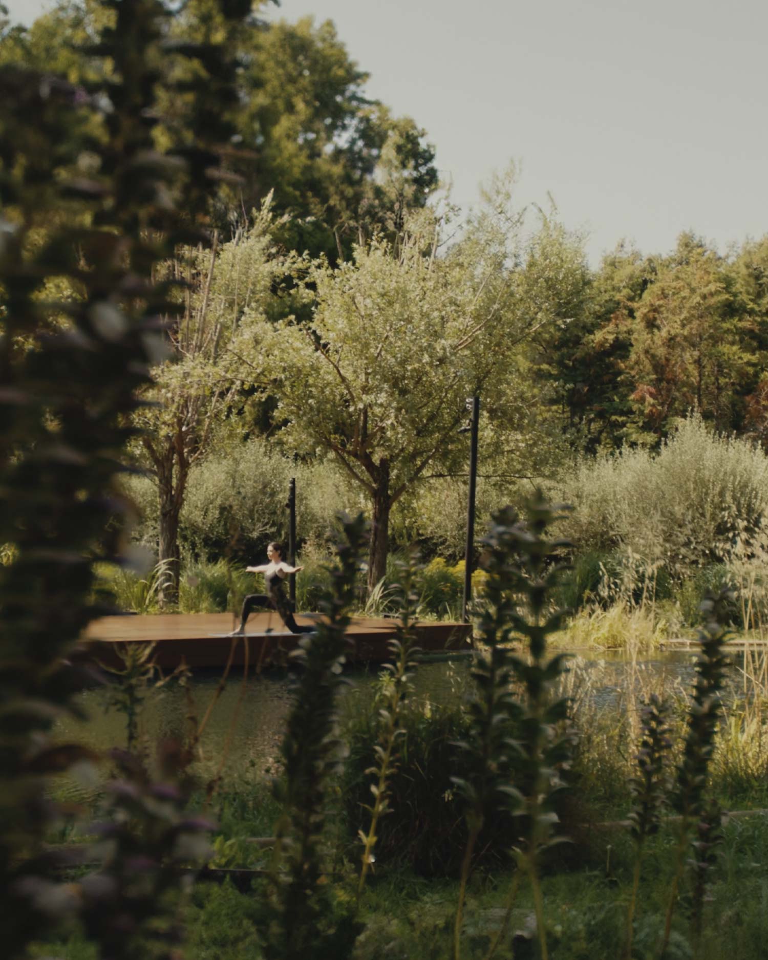 STRESS MANAGEMENT-MAIN-4-PILLARS-TATOÏ-CLUB