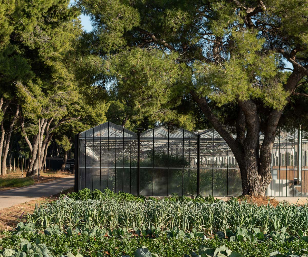 sustianability veggie farm nature environment-TATOÏ-CLUB