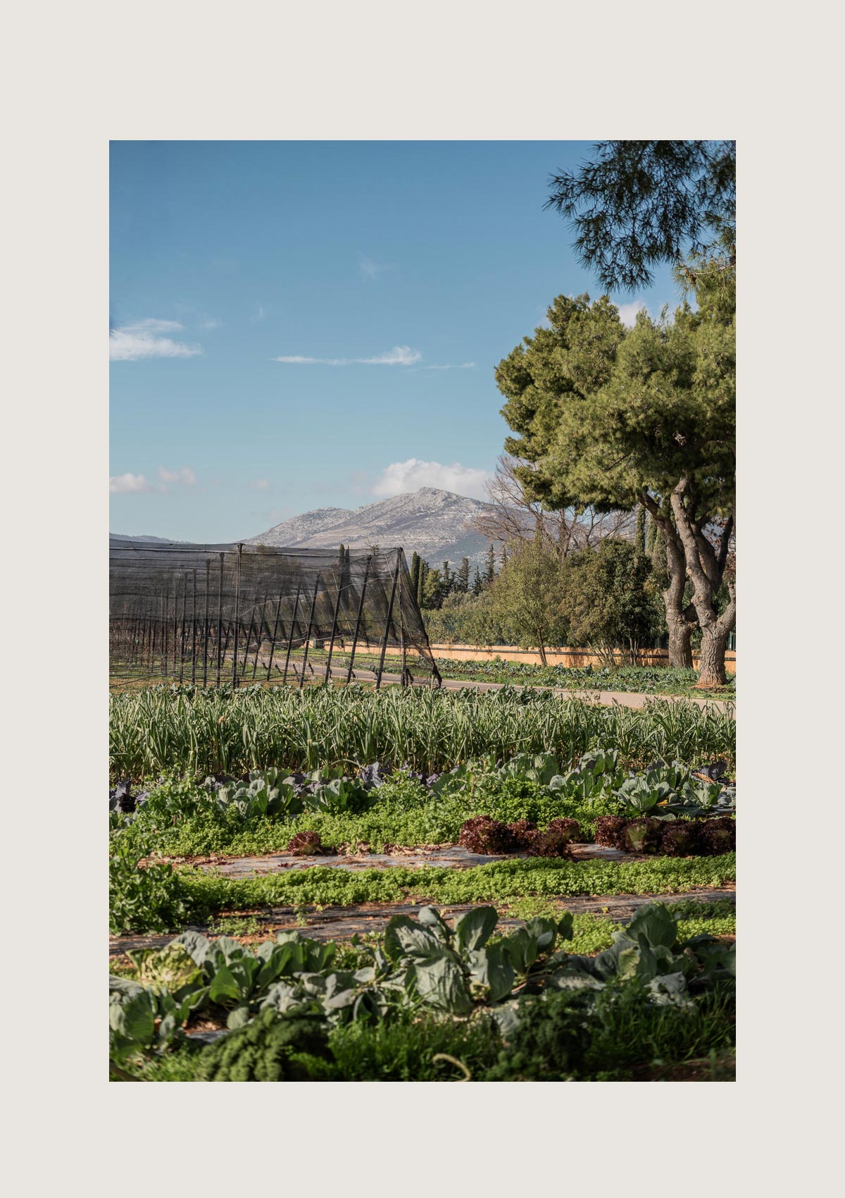 sustianability veggie farm vegetables nature environment-TATOÏ-CLUB