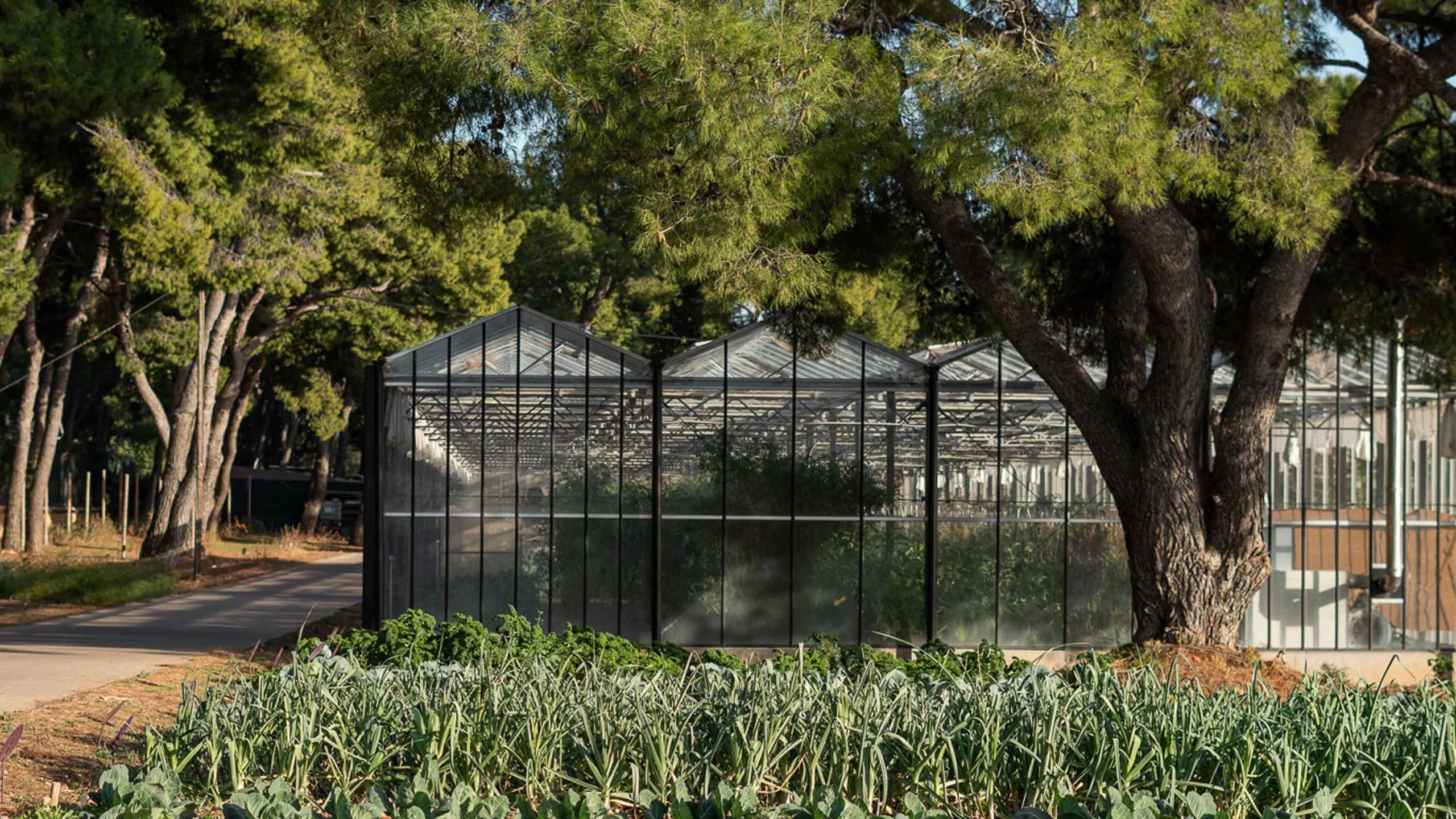 sustianability veggie farm vegetables environment-TATOÏ-CLUB