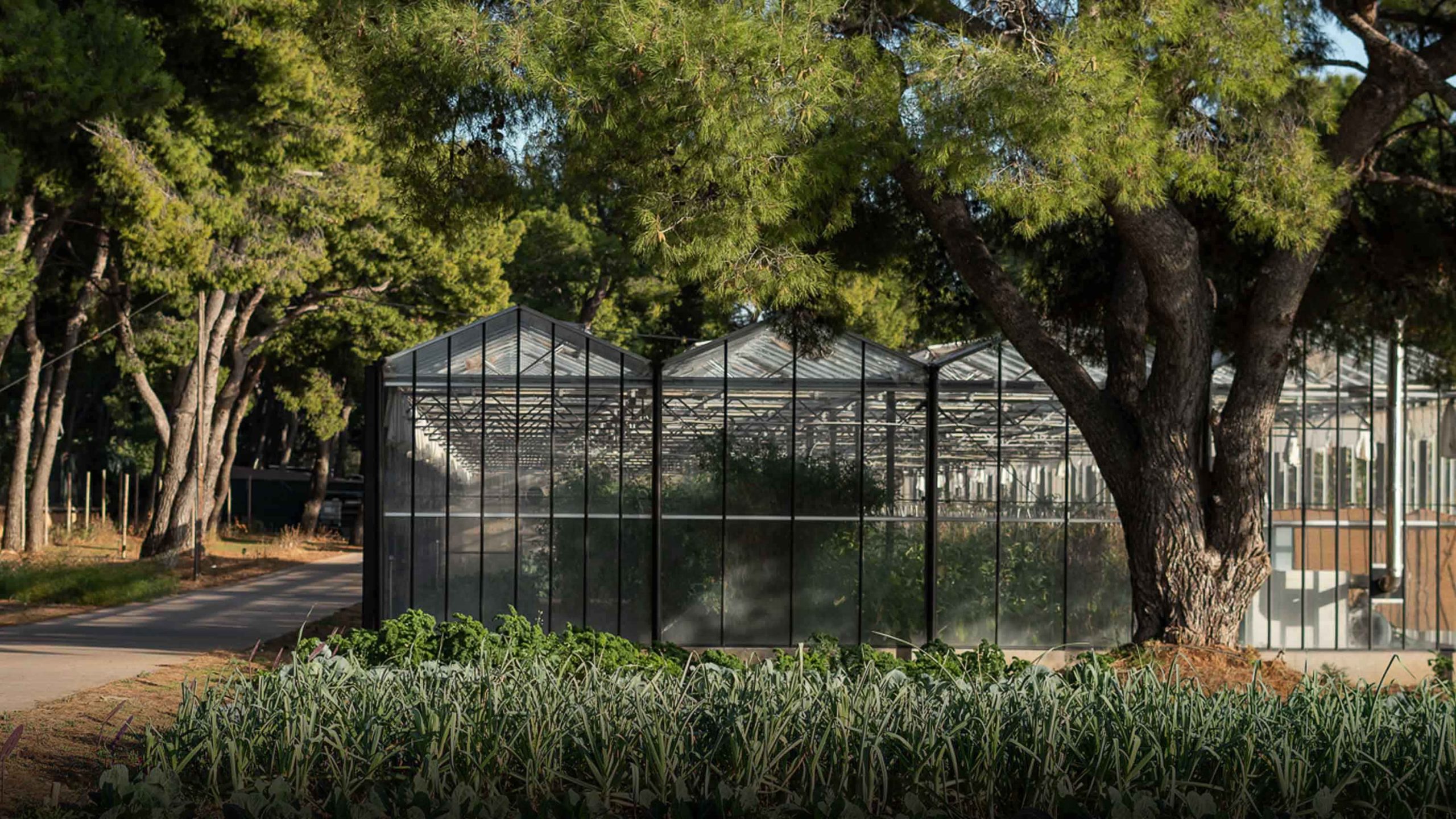 placeholder for missing hero image