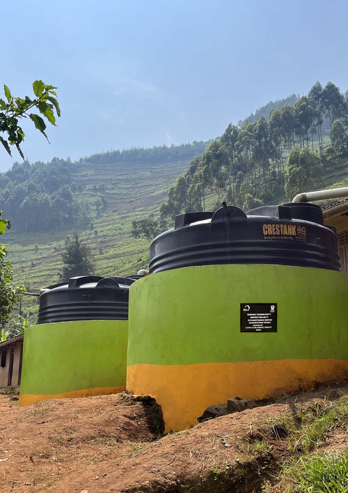 sustianability society the water gorilla project-TATOÏ-CLUB