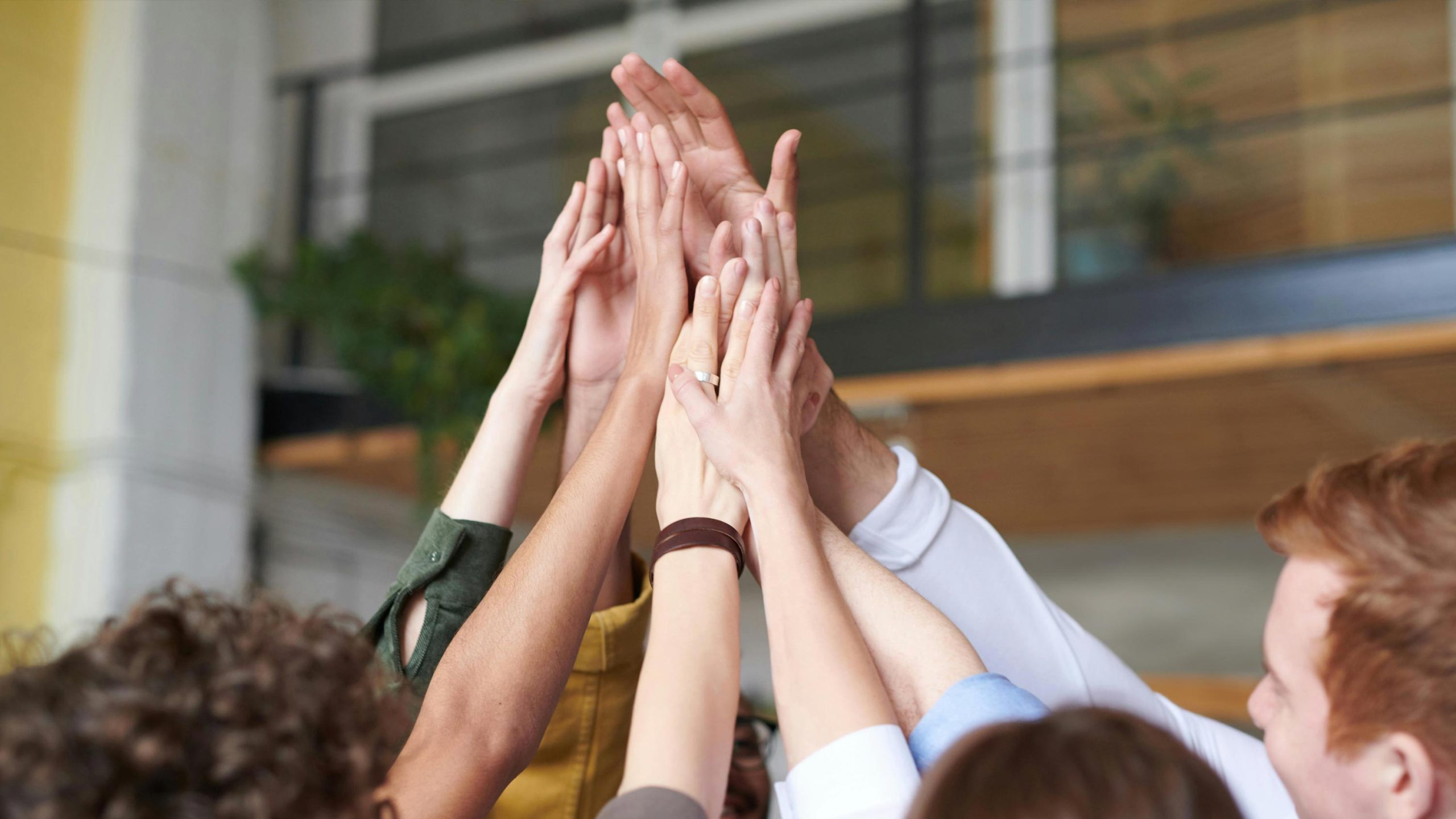 sustainability team TATOÏ-CLUB